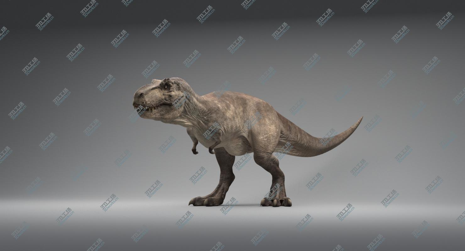 images/goods_img/20210113/Tyrannosaurus Rex Rigged/4.jpg